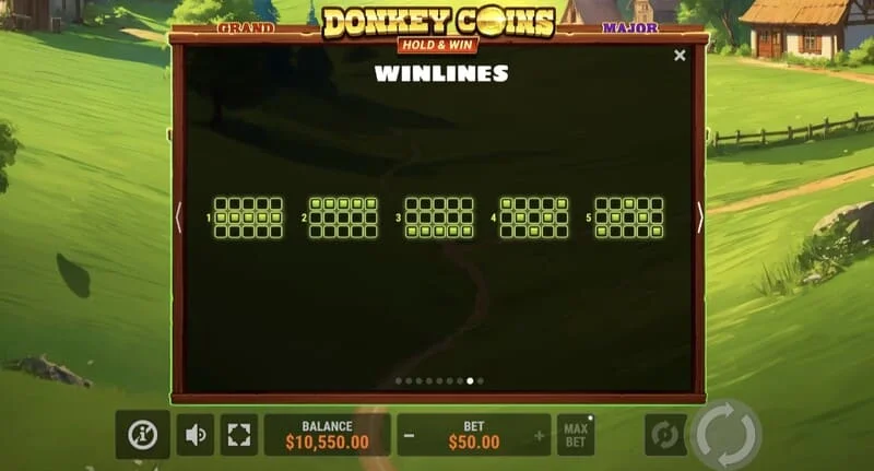 Donkey Coins Hold & Win - fitore e madhe në modalitetin special